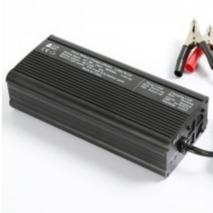 Caricabatteria per 12,8 V 25,6 Volt 38,4 Volt 51,2 V LiFePo4 Batteria